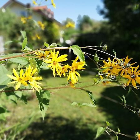 Fewo Happy Place In Traumhafter Lage See Nah Utting am Ammersee Exteriör bild