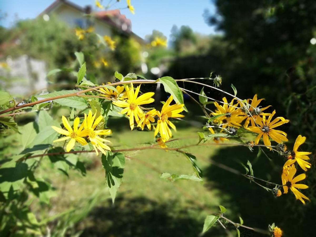 Fewo Happy Place In Traumhafter Lage See Nah Utting am Ammersee Exteriör bild